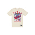 Philadelphia 76ers Throwback Net Chrome White T-Shirt
