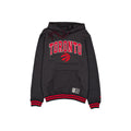Toronto Raptors Throwback Academic Hoodie