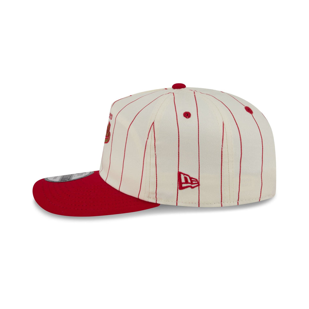 San Francisco 49ers Chrome White Pinstripe 19TWENTY Snapback Hat